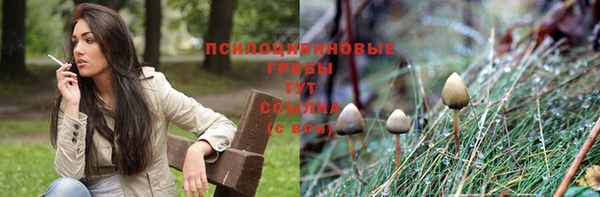 мдпв Арсеньев