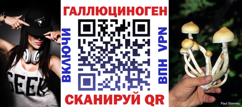 Псилоцибиновые грибы Psilocybe Спасск-Дальний