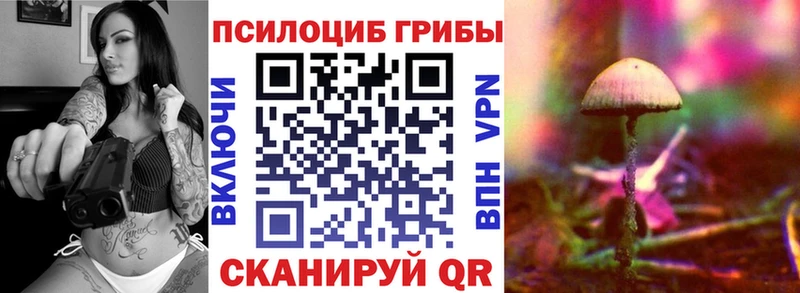 Псилоцибиновые грибы мухоморы  hydra ссылка  Спасск-Дальний 